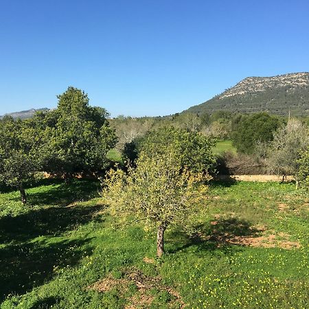 Villa Son Sampol Llucmajor  Esterno foto