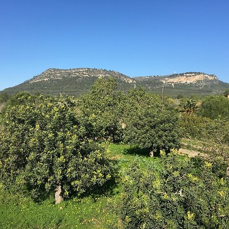 Villa Son Sampol Llucmajor  Esterno foto