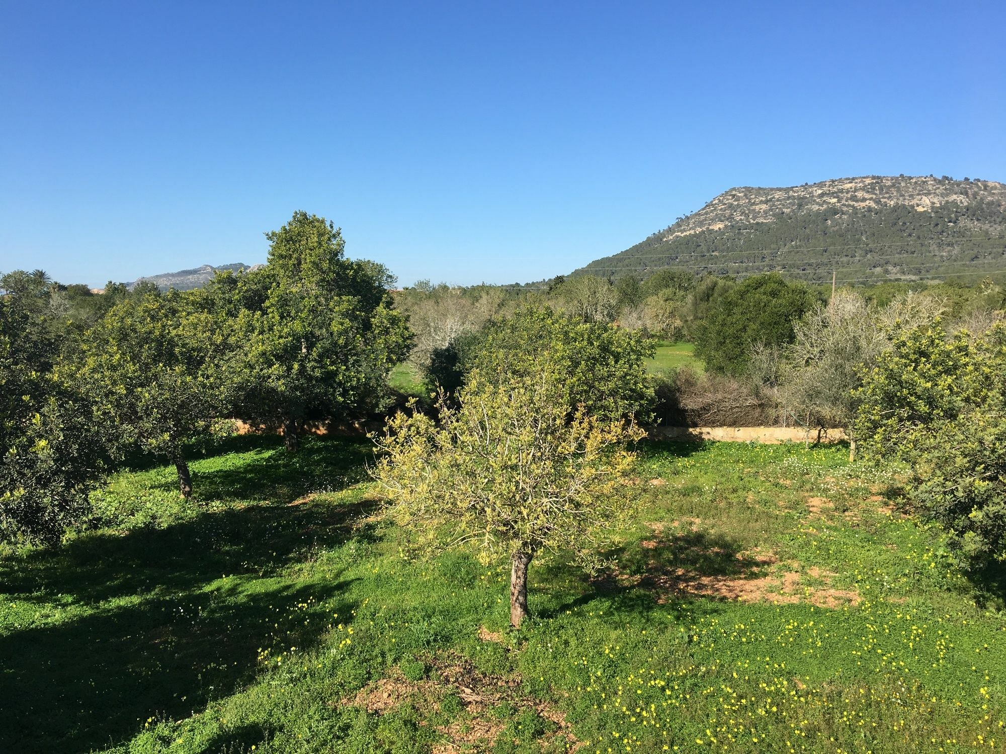 Villa Son Sampol Llucmajor  Esterno foto