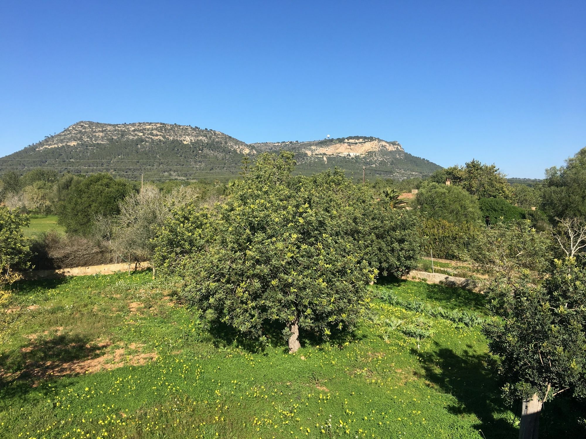 Villa Son Sampol Llucmajor  Esterno foto